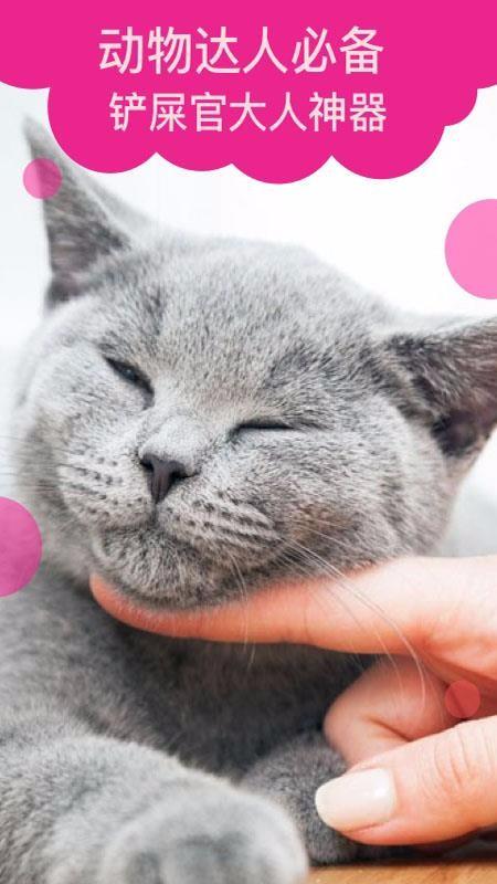 猫语翻译app下载,猫语翻译手机版