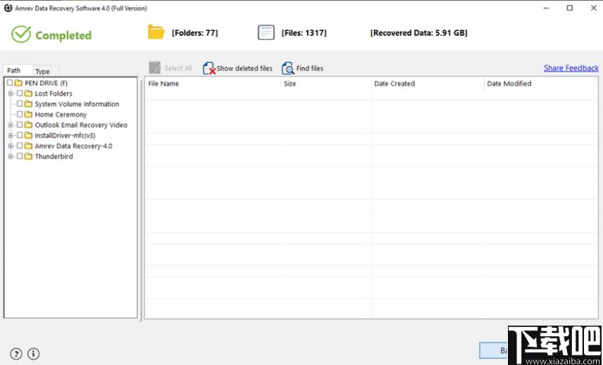 Amrev Data Recovery下载,数据恢复,恢复软件