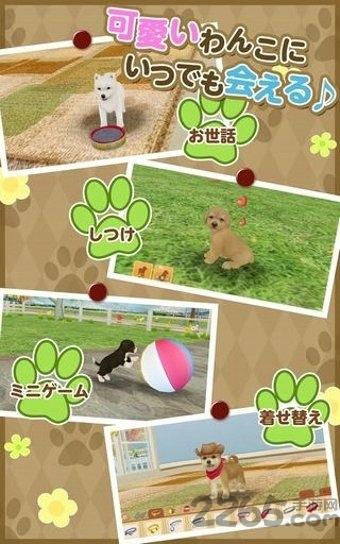 掌上狗狗中文版下载,掌上狗狗,狗狗游戏,宠物游戏
