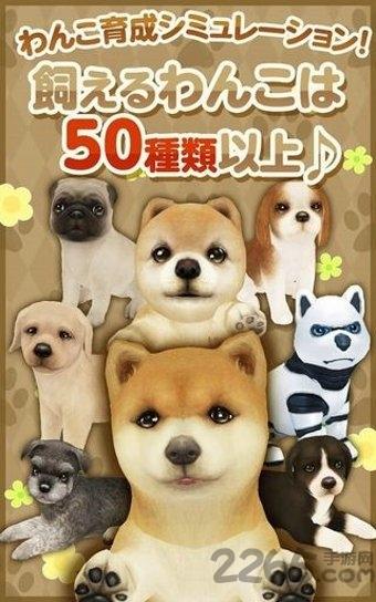 掌上狗狗中文版下载,掌上狗狗,狗狗游戏,宠物游戏