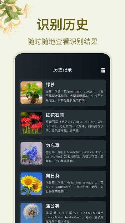 拍照识花大师app下载,拍照识花大师app,识花app