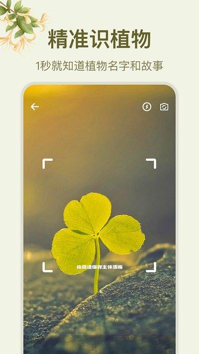 拍照识花大师app下载,拍照识花大师app,识花app