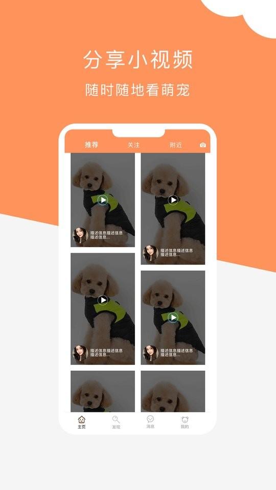 栖宠app下载,栖宠,宠物app,服务app