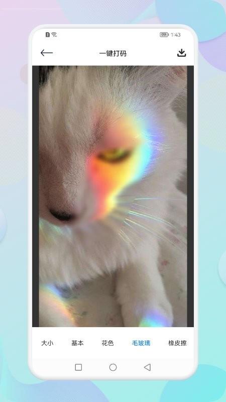 每日相机app下载,每日相机,相机app,拍照app